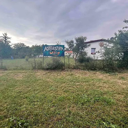 아파트 Willy Sarnowo