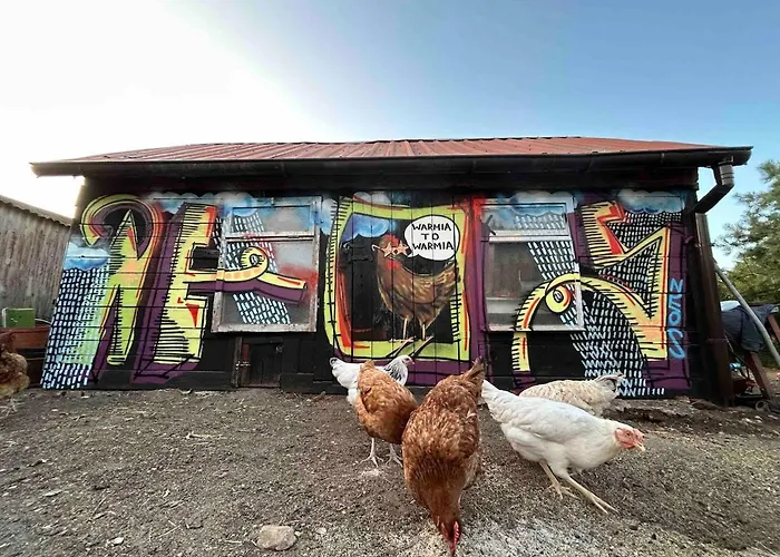 Willy Appartamento *