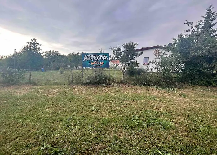 Appartement Willy Sarnowo